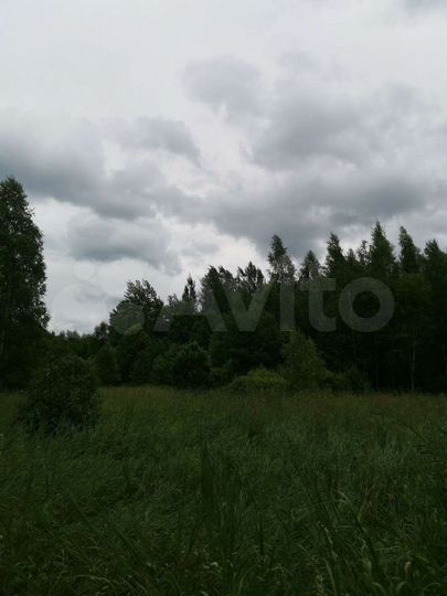 Участок 100 сот. (СНТ, ДНП)