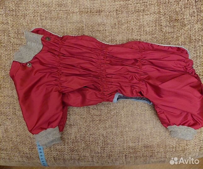 Одежда для маленьких собак