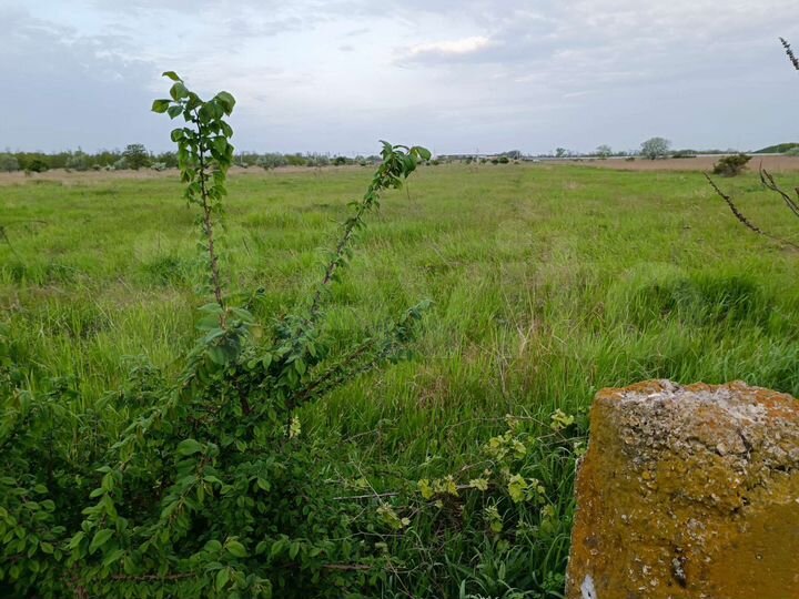 Участок 100 сот. (СНТ, ДНП)