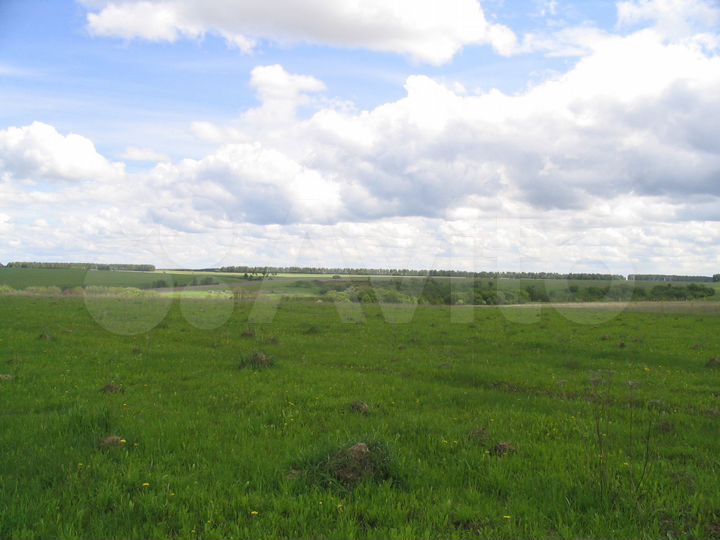 Участок 8 сот. (ИЖС)