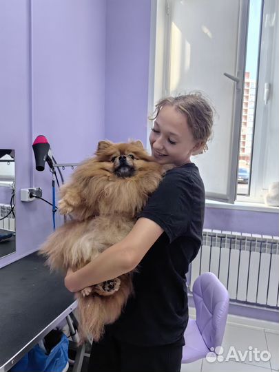 Выгульщик собак, кинолог, зооняня