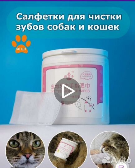 Для животных многое