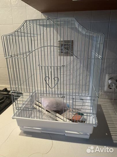 Клетка для волнистого попугая + корм