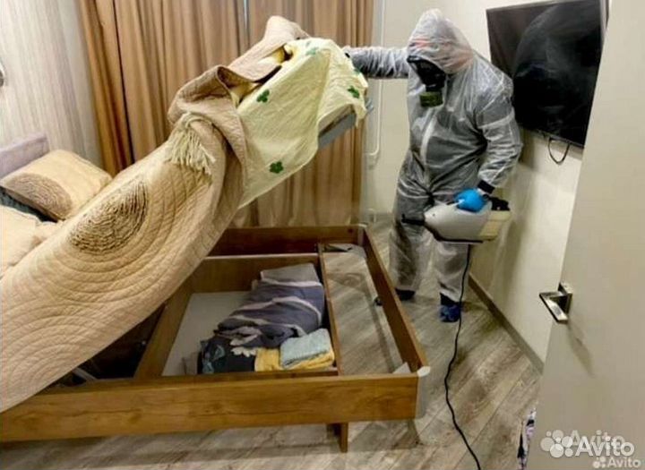 Уничтожение тараканов клопов мышей блох муравьёв