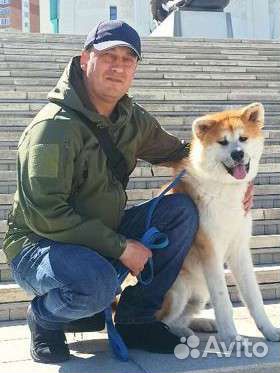 Дрессировка собак кинолог