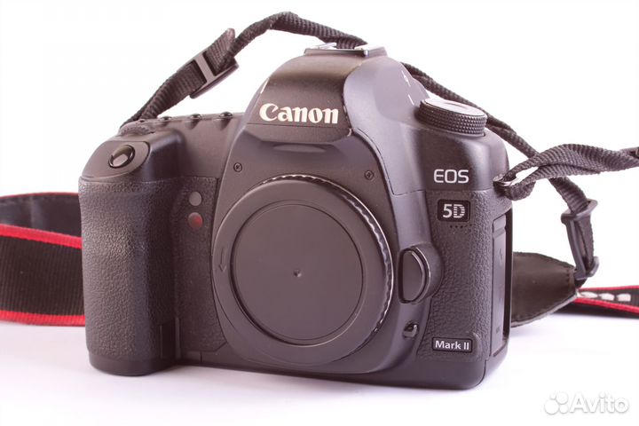 Canon EOS 5D Mark II + Canon EF 100-300mm f5,6