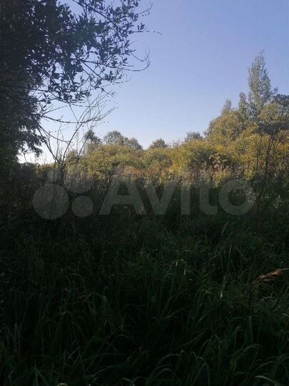 Участок 15 сот. (СНТ, ДНП)