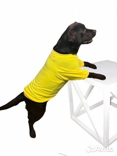 Свитшот для собак. Размер 55