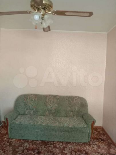 1-к. квартира, 24,5 м², 1/2 эт.