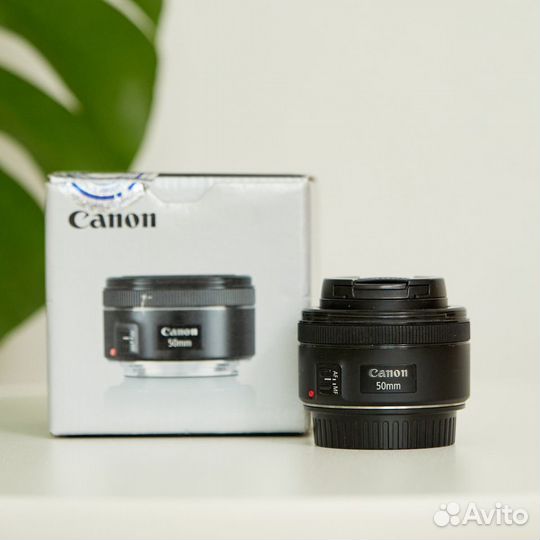 Canon ef 50mm f 1.8 stm