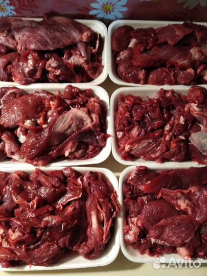 Натуральная еда для питомцев (мясо/субпродукты)