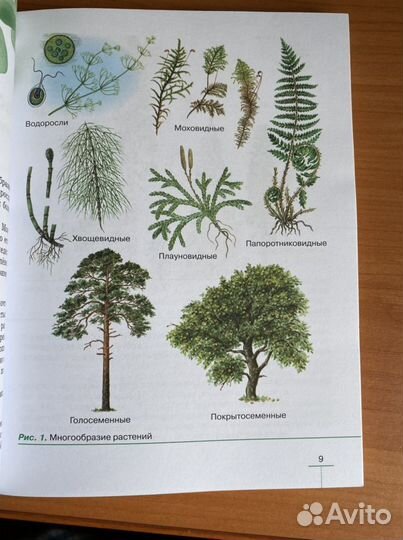 Биология.Покрытосеменные растения 6 класс учебник