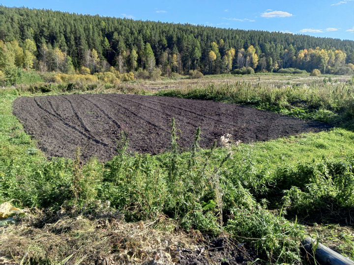 Дом 30 м² на участке 16 сот.