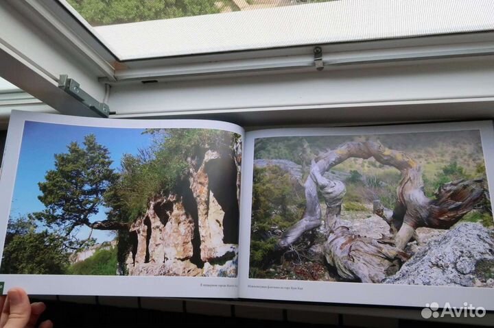 Фотоальбом Крым времена года