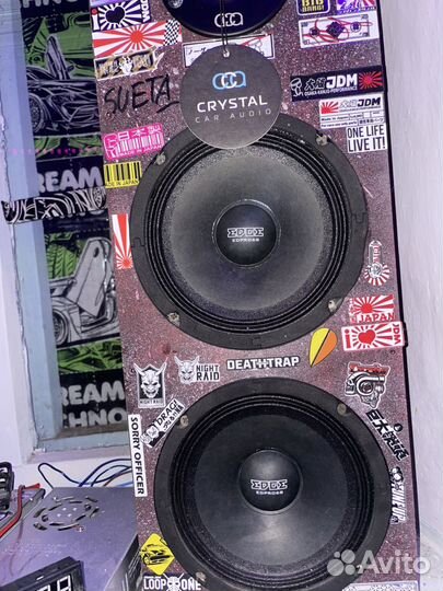 Динамики. Экстрадные. 16.5