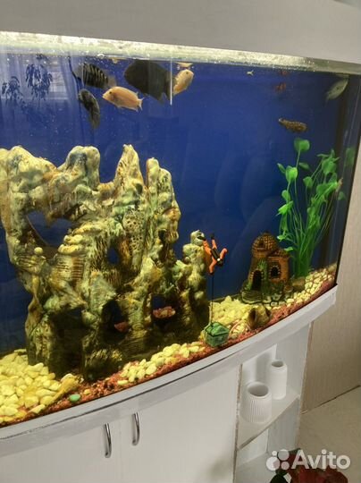 Аквариум с тумбой