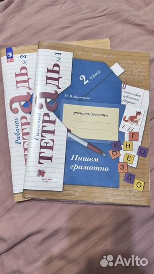 Рабочие тетради 