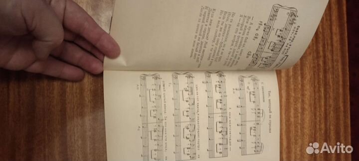 Книга. Владимир Высоцкий. Стихи и песни