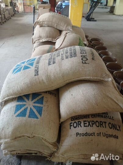 Зеленый кофе опт