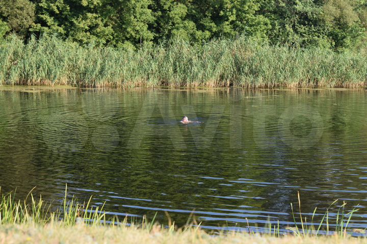 Дом 50 м² на участке 25 сот.