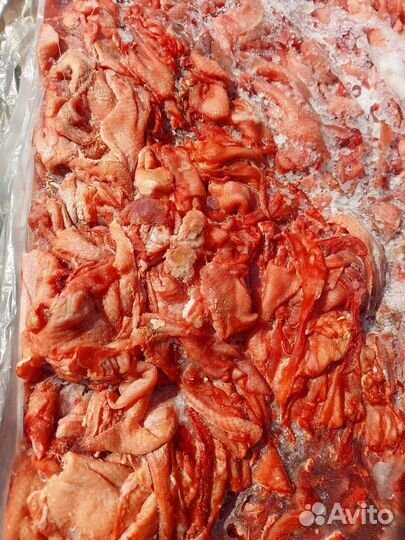 Мясо для собак