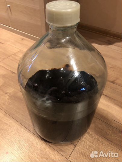 Вытяжка радиолы розовой