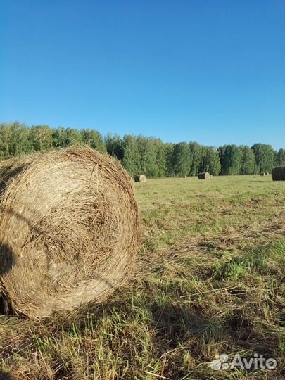 Сено,солома