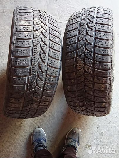 Tigar All Season 3.75/6 R4