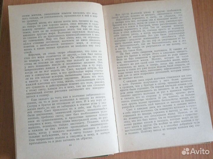 Книга Джек Лондон Белый Клык 1981г