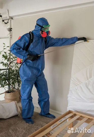 Дезинсекция