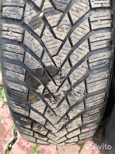 Continental ContiWinterContact TS 850 205/55 R16