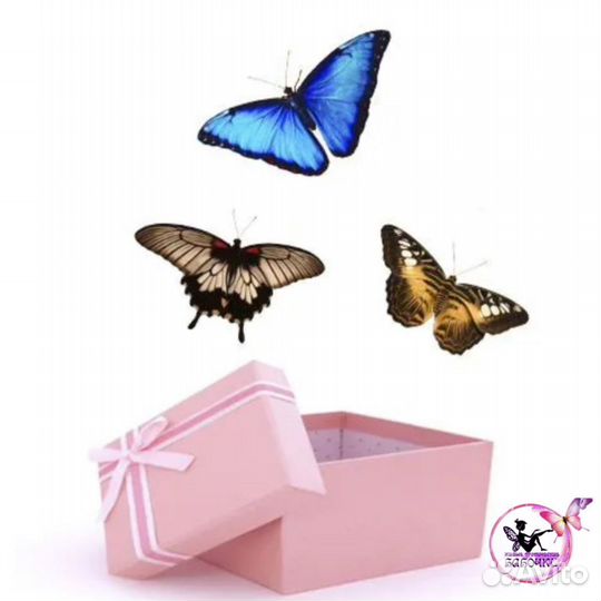 Бабочка Живая открытка