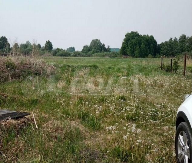 Участок 8 сот. (СНТ, ДНП)