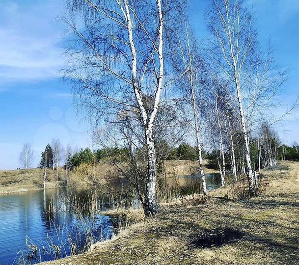 Участок 15,5 сот. (ИЖС)