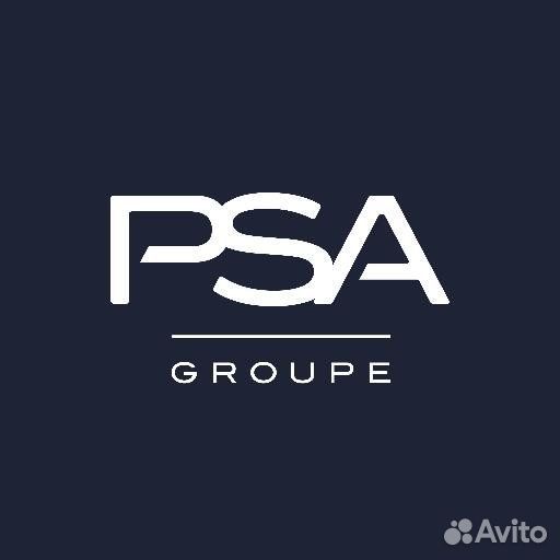 Peugeot-citroen 9823076880 зад.амортизатор