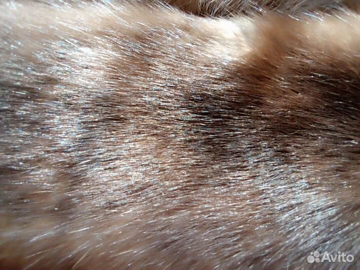 Шкурки соболя