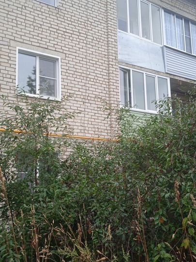 2-к. квартира, 49,7 м², 2/3 эт.