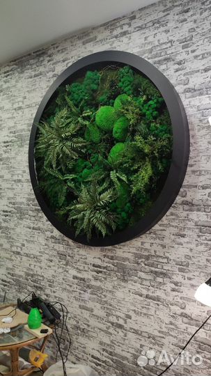 Панно на стену из мха и растений