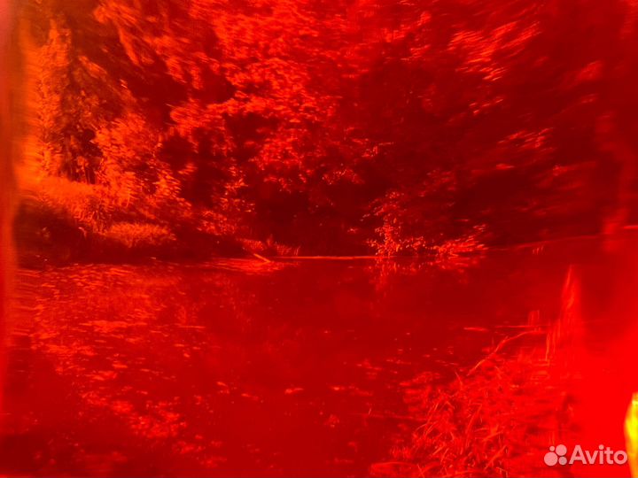 Днх 2023г – уютный чай (Дянь Хун Мао Фэн)