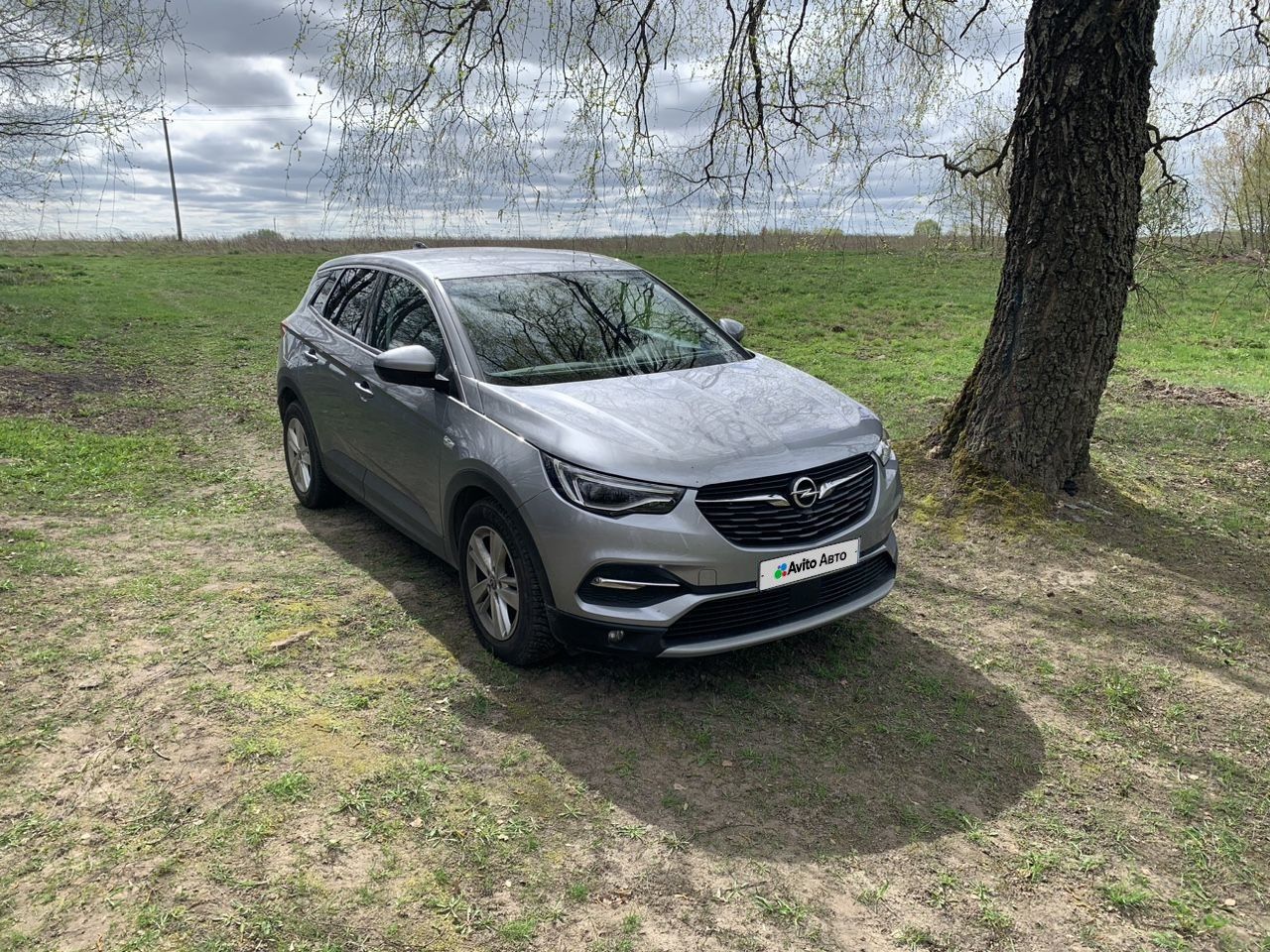 Opel Grandland X: фото из отзыва