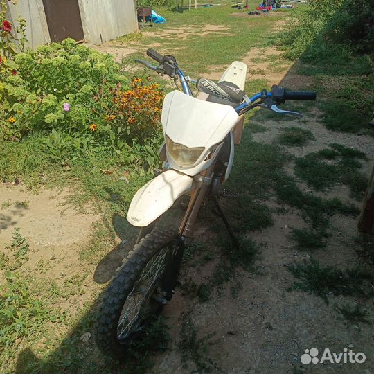 Racer 125PE