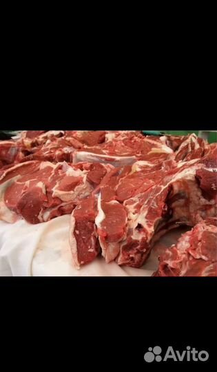 Мясо баранина свежая
