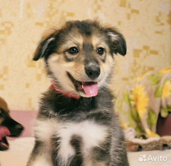 Улыбака Берта 2 месяца