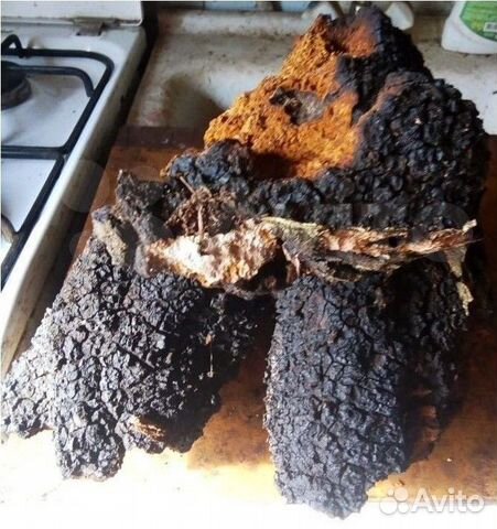 Чага березовая,сувель,кап