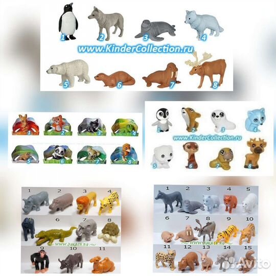 Киндер животные Африки, Северные, Animal Planet