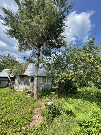 Участок 4,6 сот. (СНТ, ДНП)