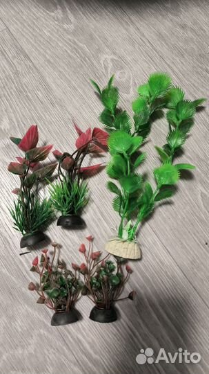 Аквариумные растения /живые /искуственные