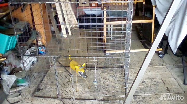 Клетка-вольер