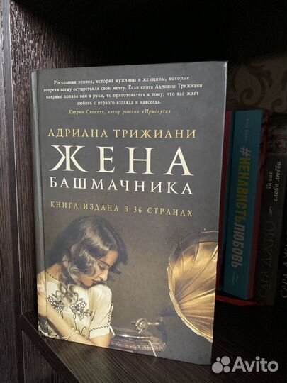 Книга. Жена башмачника