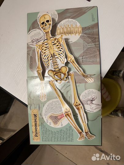 Отдам или продам книги